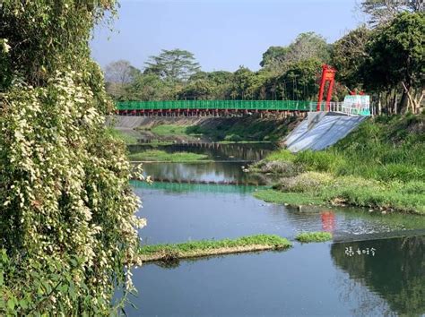 垂枝女真農場 相片|垂枝女貞農場–竹山露營烤肉、垂釣雅房推薦－我想天天旅遊ing｜ 